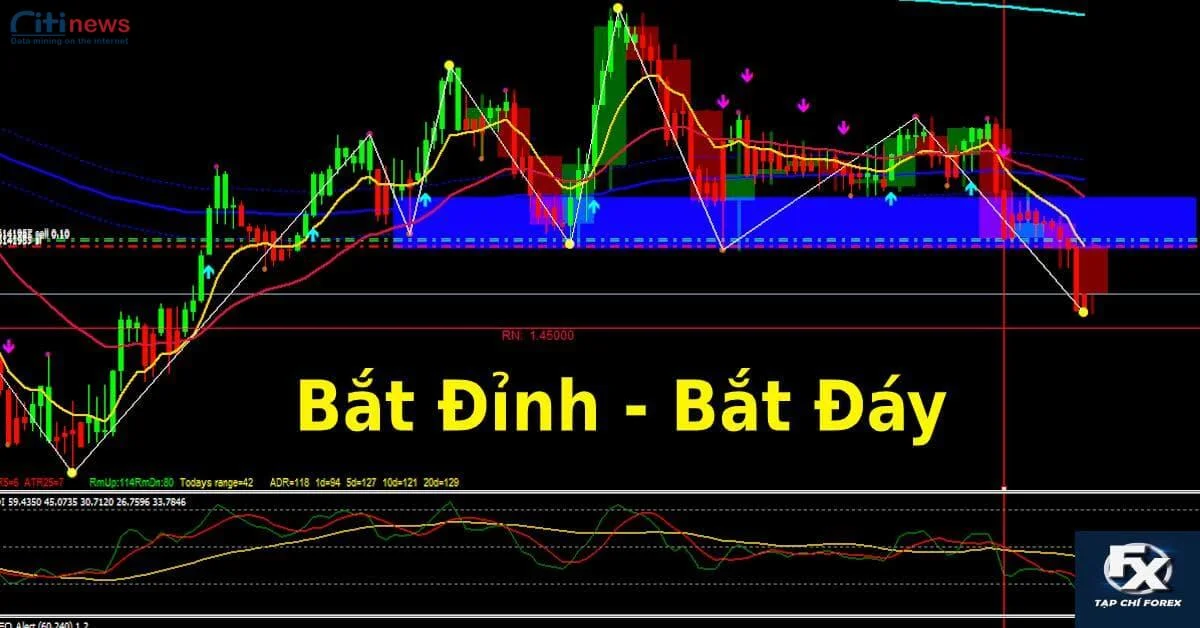 bat-dinh-day-trong-forex