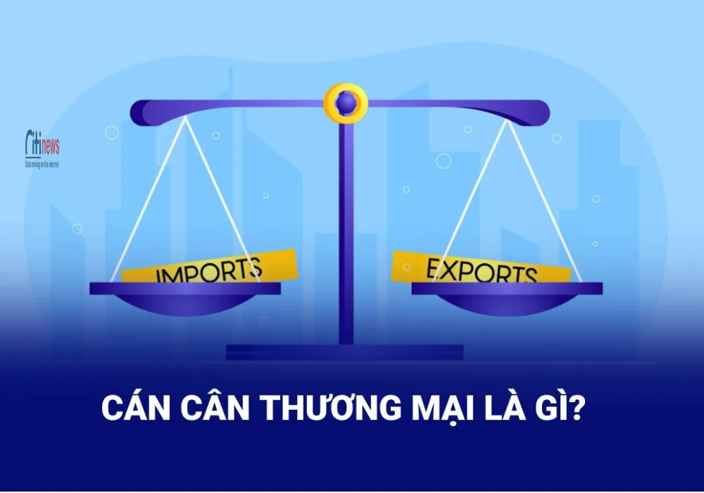 cán cân thương mại (1)