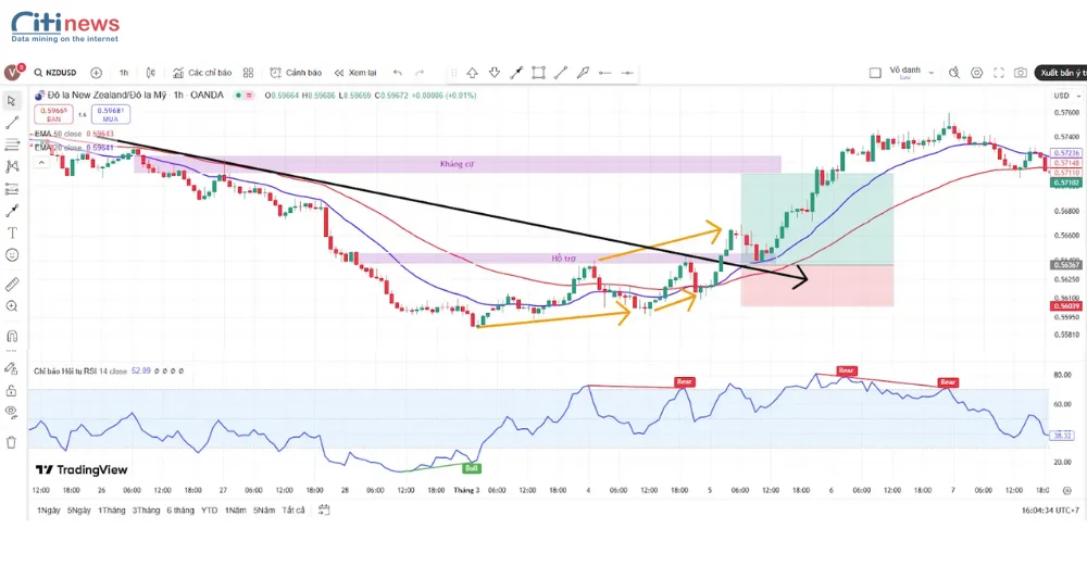 Price Action và Indicator Trading