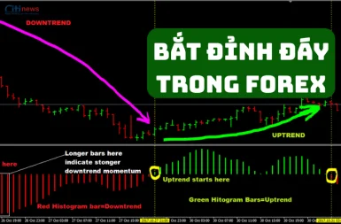 Chiến Lược Bắt Đỉnh Đáy Trong Forex: Làm Sao Để Không “Bắt Dao Rơi”?