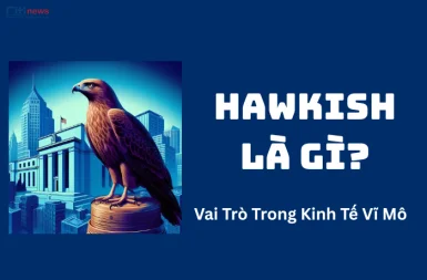 Hawkish Là Gì? Vai Trò Của Chính Sách 'Diều Hâu' Trong Kinh Tế Vĩ Mô