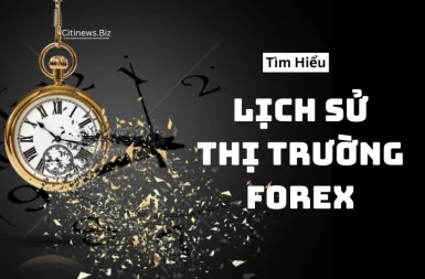 Lịch Sử Forex - Hành Trình Từ Tiền Kim Loại Đến Giao Dịch Số Hóa