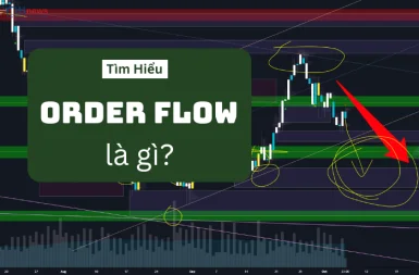 Order Flow Trong Forex - Cách Đọc Lệnh Và Đón Sóng Thị Trường