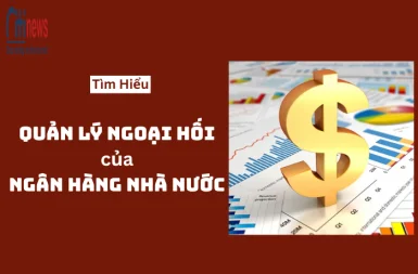 Biến Động Tỷ Giá Và Cuộc Cân Não Trong Quản Lý Ngoại Hối Của Ngân Hàng Nhà Nước