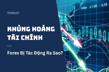 Đằng Sau Những Cơn Khủng Hoảng Tài Chính – Forex Bị Tác Động Ra Sao?