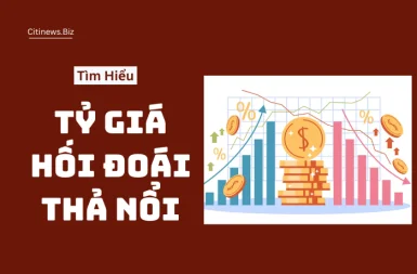 Hiểu Rõ Tỷ Giá Thả Nổi - Chìa Khóa Sinh Tồn Trên Thị Trường Ngoại Hối