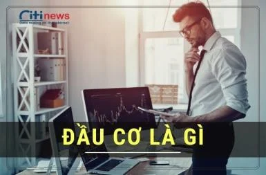 Đầu cơ là gì & Chiến thuật đầu cơ như thế nào hợp lý