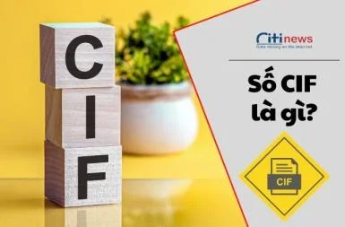 Cif là gì trong ngân hàng - Phân biệt số CIF, số thẻ và số tài khoản