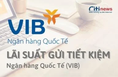 Lãi suất gửi tiết kiệm ngân hàng Quốc tế (VIB) mới nhất 2025