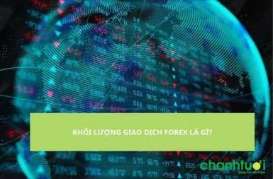 Khối lượng giao dịch forex 1 ngày bao nhiêu là tốt nhất?