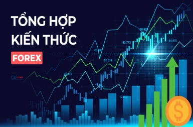 Hệ thống Kiến thức forex căn bản cho người mới bắt đầu