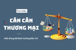 can-can-thuong-mai