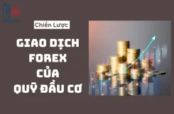 chien-luoc-giao-dich-forex-cua-quy-dau-co-1