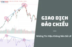 giao-dich-dao-chieu-1-1