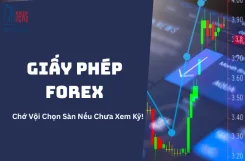 giay-phep-forex
