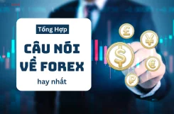 nhung-cau-noi-ve-forex