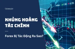 khung-hoang-tai-chinh-2