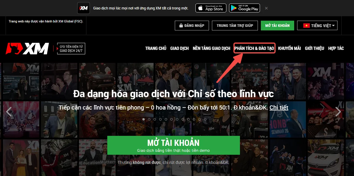 tín hiệu giao dịch XM