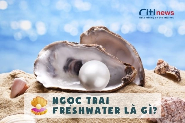 Ngọc trai Freshwater hay còn gọi là ngọc trai nước ngọt