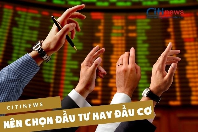 Nên chọn đầu tư hay đầu cơ?