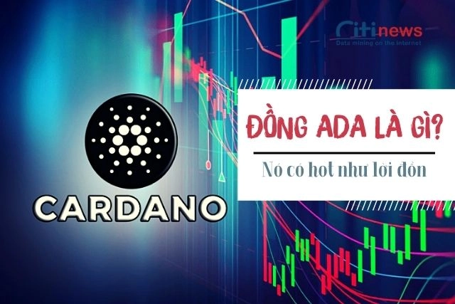 TÌm hiểu Cardano là đồng gì?