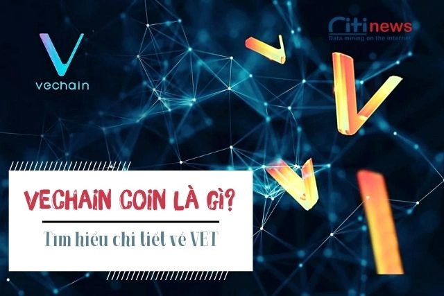 Đồng coin VET là gì?