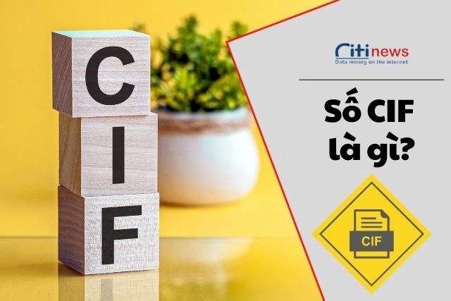 Số CIF là gì trong ngân hàng?