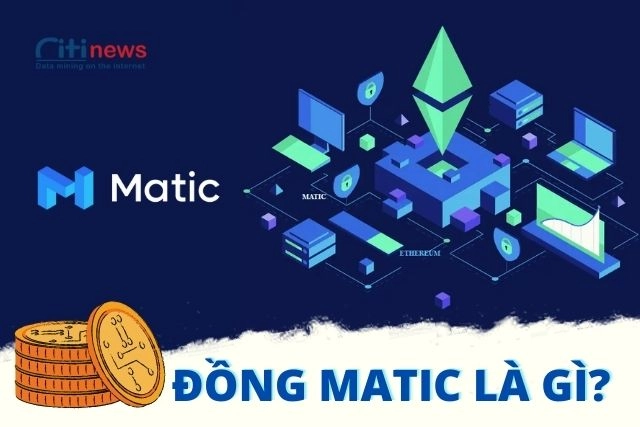 Đồng MATIC là gì?