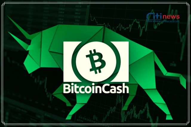 khác nhau giữa đồng Bitcoin và đồng Bitcoin Cash