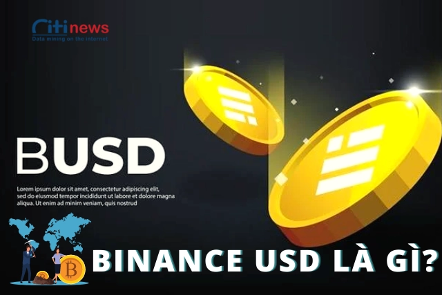 Giới thiệu về đồng BUSD Binance 