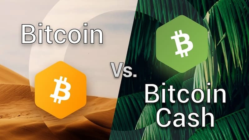 Sự khác nhau giữa BTC và BCH