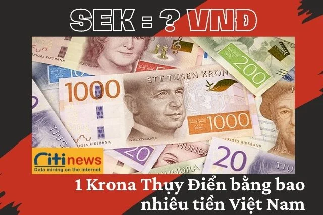 1-krona-thuy-dien-sang-tien-viet-nam