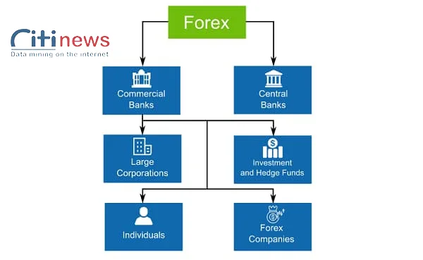 thi-truong-forex-05