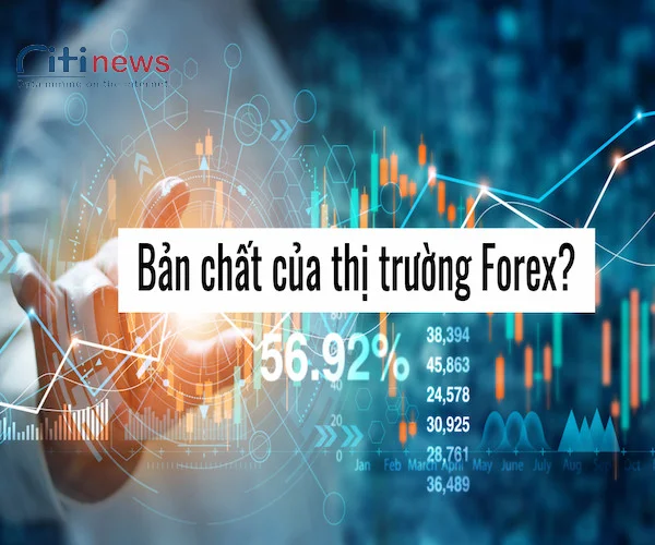 ban-chat-cua-thi-truong-forex-la-gi-1