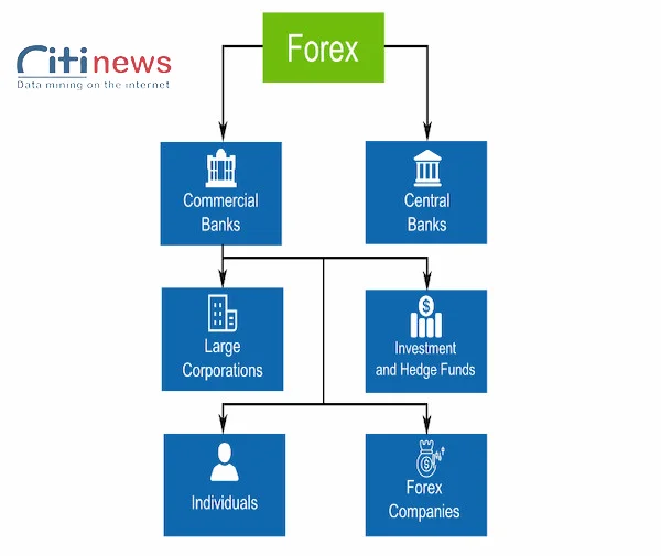 ban-chat-cua-thi-truong-forex-la-gi-2