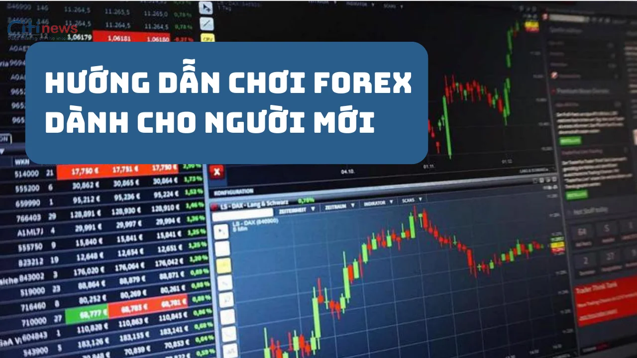 kien-thuc-forex-danh-cho-nguoi-moi