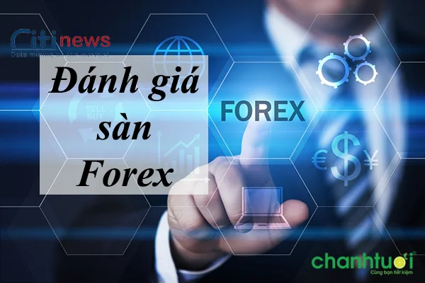 danh-gia-san-forex