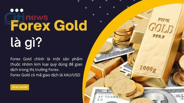 forex-gold-la-gi