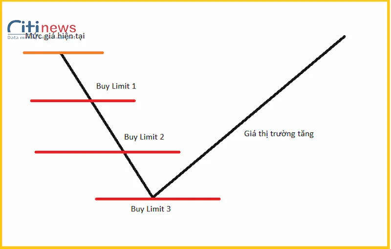 buy-limit-la-gi-4-1