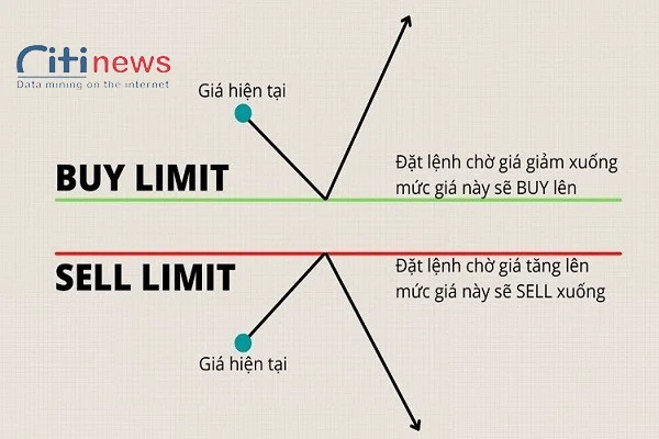 cac-lenh-trong-forex-2