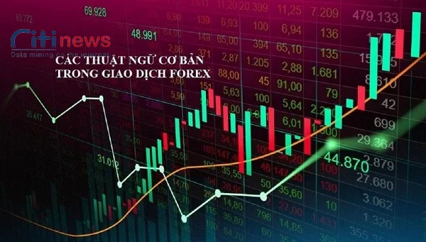 cac-thuat-ngu-trong-forex-1