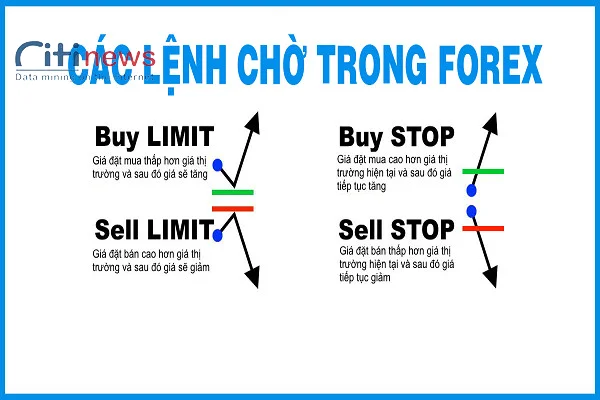 cac-thuat-ngu-trong-forex-3